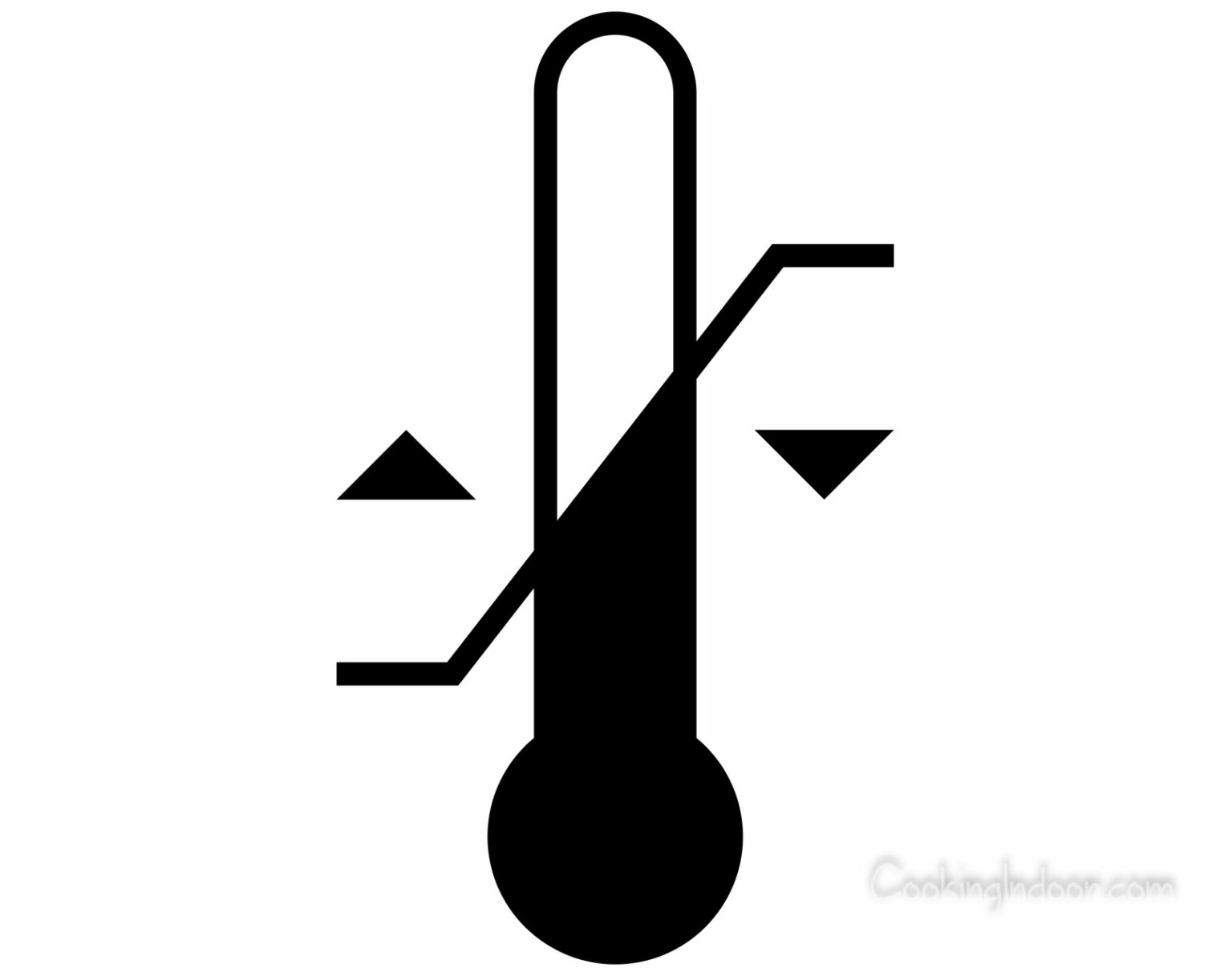 What’s the Difference between a Convection Toaster Oven and a