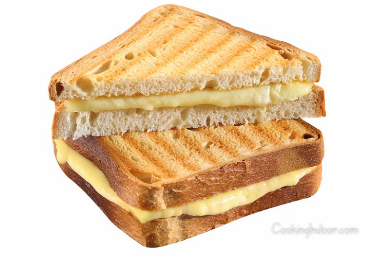 Panini maker vs sandwich maker