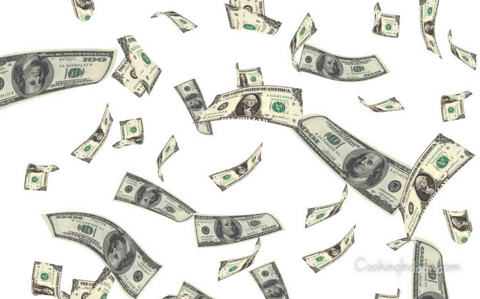 Types of Toaster Ovens Understand the Differences Cooking Indoor